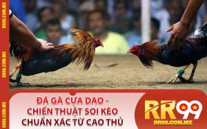 Đá Gà Cựa Dao - Chiến Thuật Soi Kèo Chuẩn Xác Từ Cao Thủ