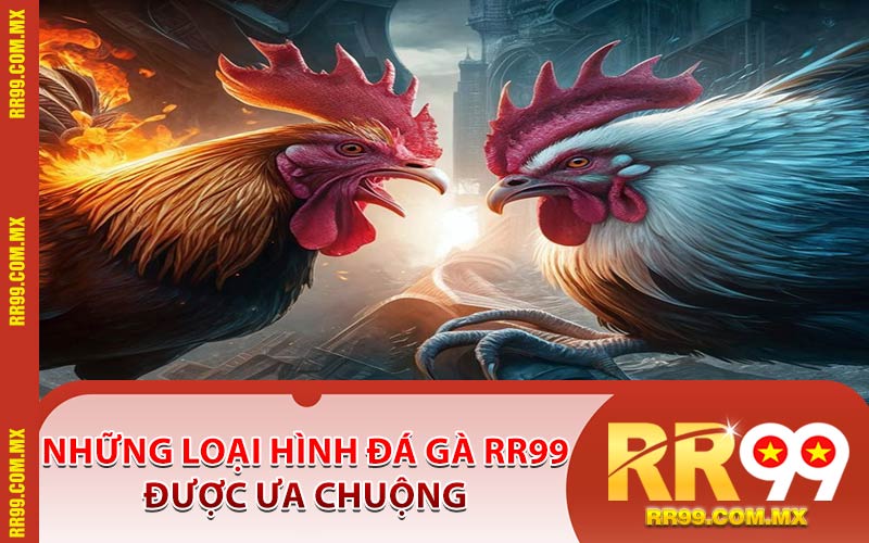 Những Loại Hình Đá Gà RR99 Được Ưa Chuộng
