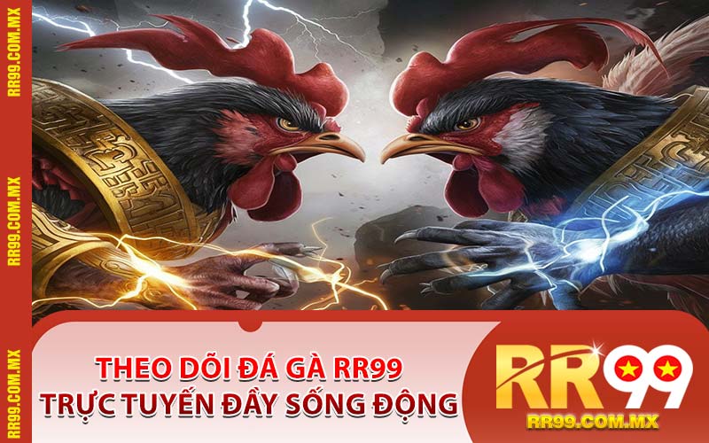 Theo Dõi Đá Gà RR99 Trực Tuyến Đầy Sống Động